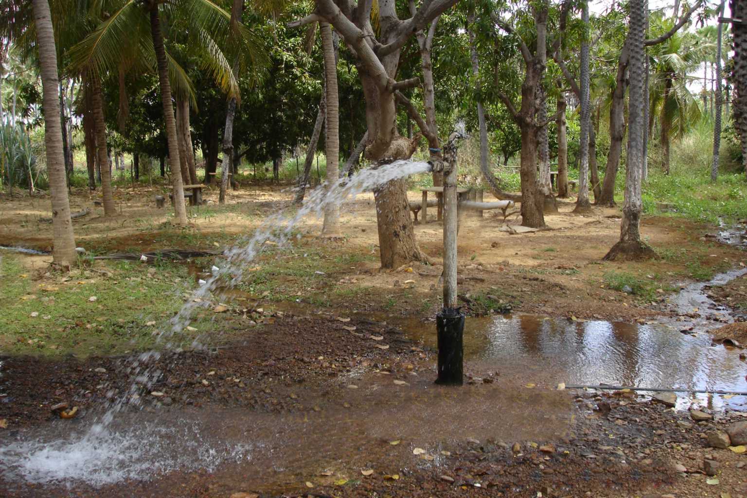 Divulgação internet